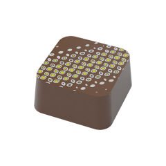 Transfer Chocolate Mould No: TM19