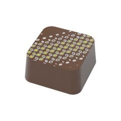 Transfer Chocolate Mould No: TM19