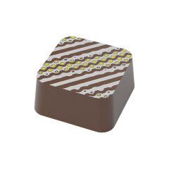 Transfer Chocolate Mould No: TM18