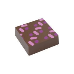 Transfer Chocolate Mould No: TM17
