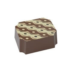 Transfer Chocolate Mould No: TM13