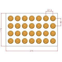 Round Praline Chocolate Mould No: 1001
