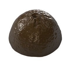 Limon Çikolata Kalıbı No: 983