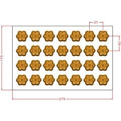 Flower Praline Chocolate Mould No: 1038
