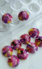 Round   Praline   Chocolate   Mould   No:   895