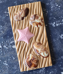 Tablet   With   Sea   Shells   Chocolate   Mould   No:   775