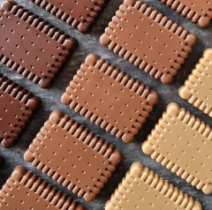 Petit   Beurre   Chocolate   Mould   No:   773