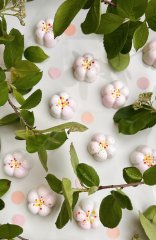 Çiçek Spesiyal Çikolata Kalıbı No: 769