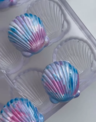 Sea   Shell   Chocolate   Mould   No:   751