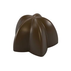 Yıldız Spesiyal Çikolata Kalıbı No: 746