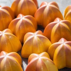 Yıldız Spesiyal Çikolata Kalıbı No: 746