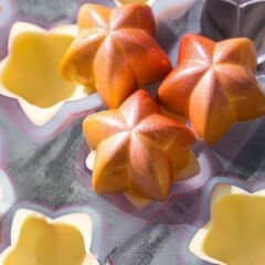 Yıldız Spesiyal Çikolata Kalıbı No: 746