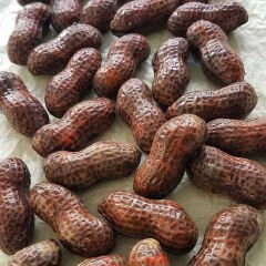 Peanut   Chocolate   Mould   –   Double   Magnetic   No:   640