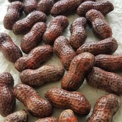 Yer Fıstığı Çikolata Kalıbı No: 640