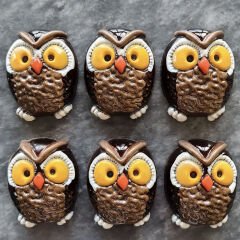 Owl   Chocolate   Mould   No:   637