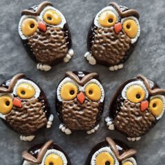 Owl   Chocolate   Mould   No:   637
