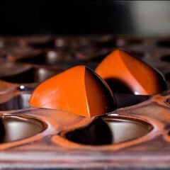 Fantasy   Praline   Chocolate   Mould   No:   596