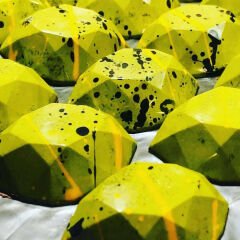 Elips Kristal Çikolata Kalıbı  No: 544