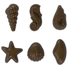 Assorted   Shell   Chocolate   Mould   No:   481