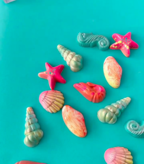 Assorted   Shell   Chocolate   Mould   No:   481
