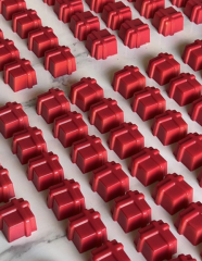 Kare Spesiyal Çikolata Kalıbı No: 470