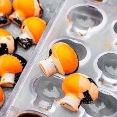 Mushroom   Praline   Chocolate   Mould   No:   437