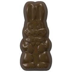 Rabbit Chocolate Mould No: 431