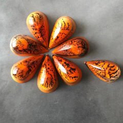 Fantasy   Praline   Chocolate   Mould   No:   408