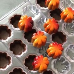 Clover   Praline   Chocolate   Mould   No:   402