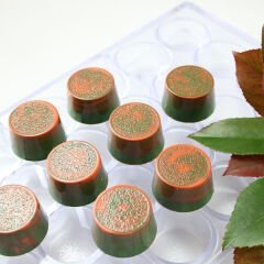 Büyük Yuvarlak Spesiyal Çikolata Kalıbı No: 390