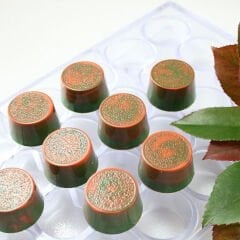 Jumbo   Pralines   Chocolate   Mould   No:   390