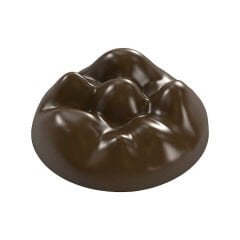 Round   With   Hazelnuts   Chocolate   Mould   No:   356