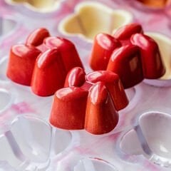 Fantasy   Praline   Chocolate   Mould   No:   284