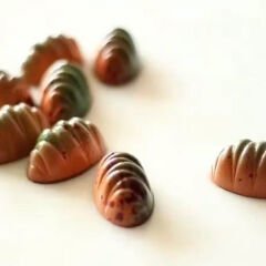 Oval   Praline   With   Indents   Chocolate   Mould   No:   260