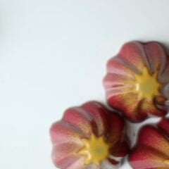 Round   Praline   With   Swirl   Top   Chocolate   Mould   No:   256