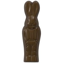 Rabbit   Chocolate   Mould   No:   165