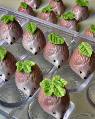 Hedge   Hog   Chocolate   Mould   No:   95