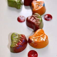 Leaf   Praline   Chocolate   Mould   No:   94
