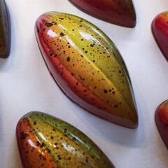 Cocoa   Pod    Praline   Chocolate   Mould   No: 93