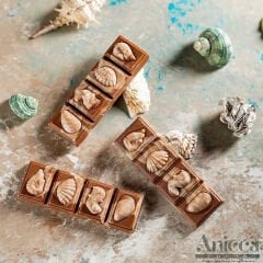 4-Piece   Break   Up   Bar   with   Shells   Chocolate   Mould   No:   81