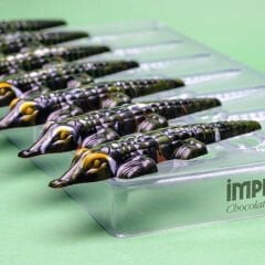 Crocodile   Chocolate   Mould   No:   77