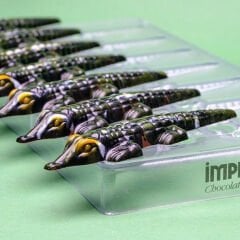 Crocodile   Chocolate   Mould   No:   77